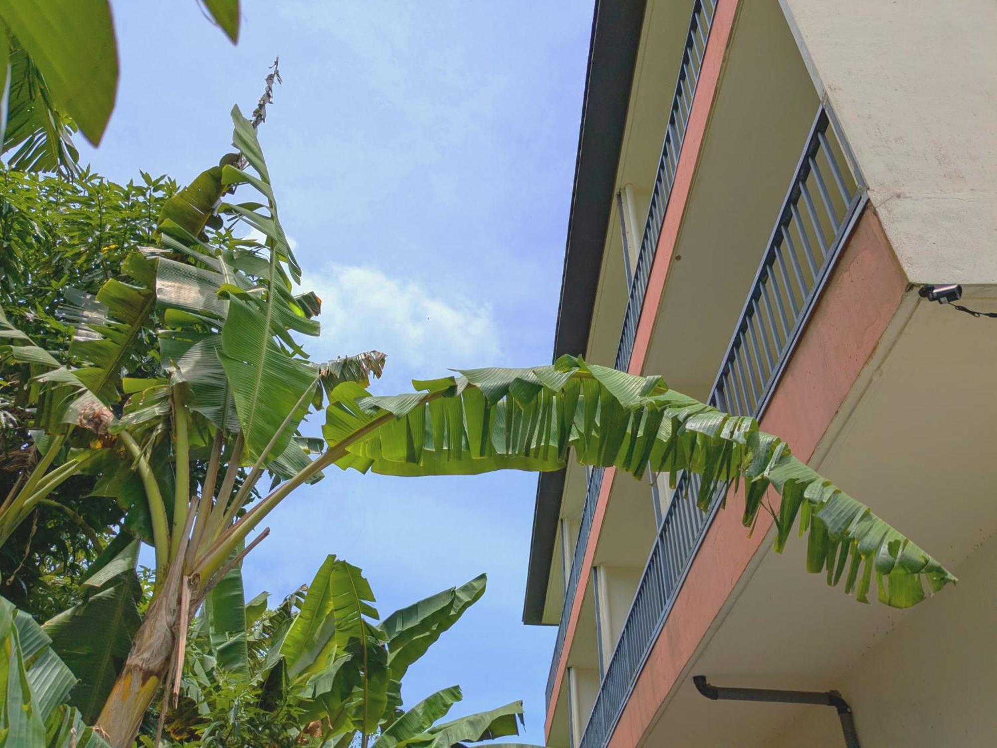 Garden Palace Downtown Koror Buitenkant foto