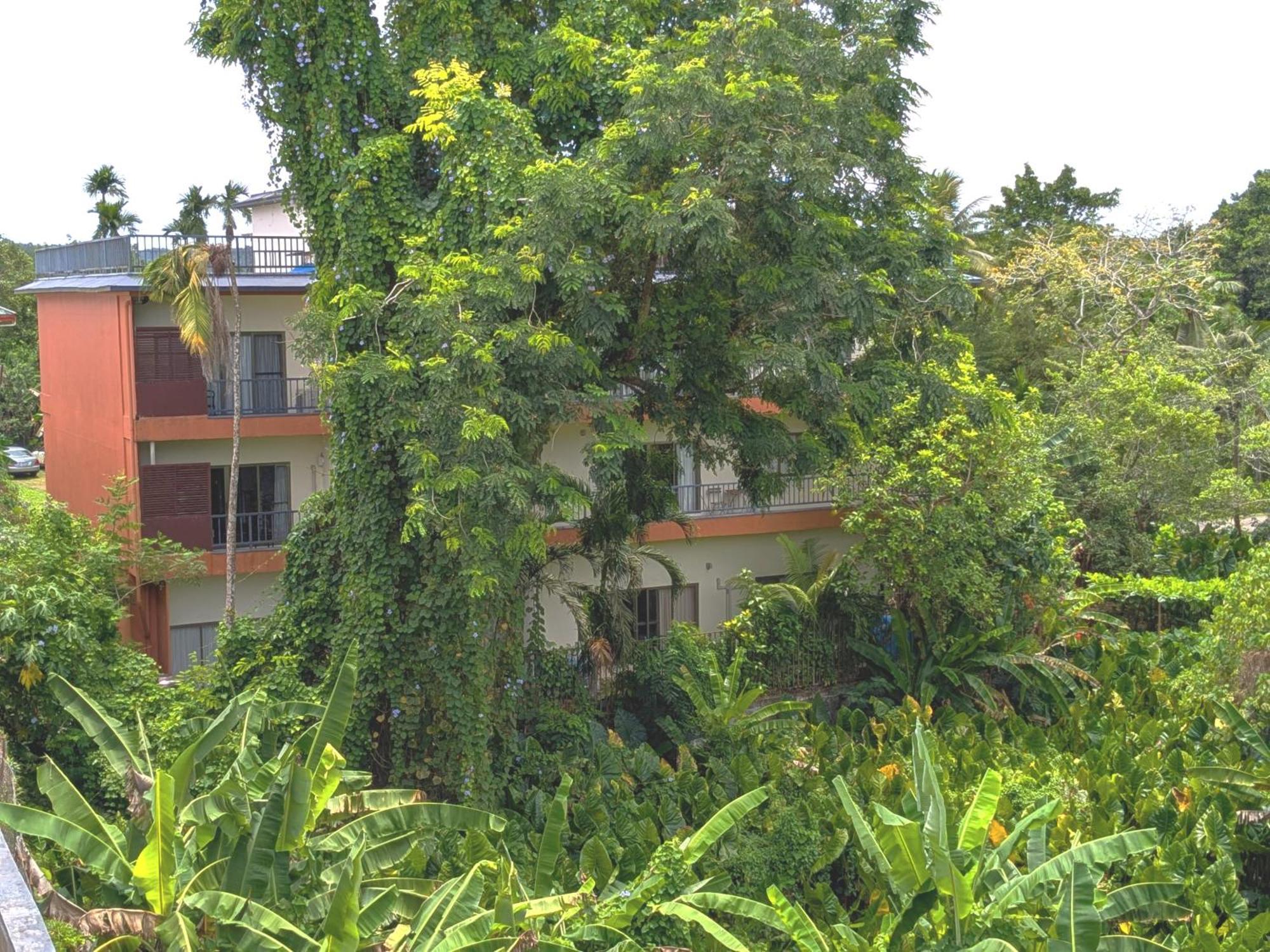 Garden Palace Downtown Koror Buitenkant foto